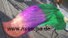 faechergrunlila.jpg (72545 Byte)