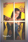 Hinter_Glas_1.jpg (40674 Byte)
