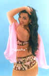 Rose_2.jpg (40964 Byte)