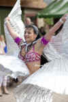pink7.jpg (103729 Byte)