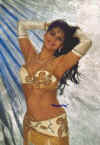 neu_beige_halbn.jpg (89491 Byte)
