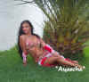 1palme3.jpg (69525 Byte)