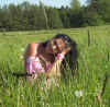 Feld5.jpg (69535 Byte)
