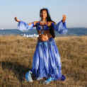 feld3.jpg (128091 Byte)